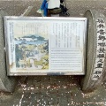 実際訪問したユーザーが直接撮影して投稿した駒込公園染井吉野桜記念公園の写真