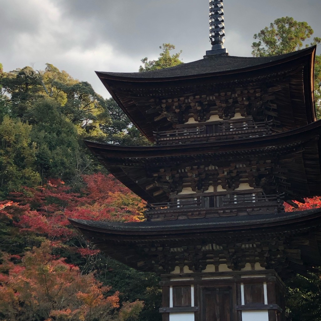 ははみんさんが投稿した池寺寺のお店湖東三山 西明寺/サイミョウジの写真