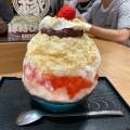 季節かき氷 - 実際訪問したユーザーが直接撮影して投稿した太田窪カフェCRAFT CAFEの写真のメニュー情報