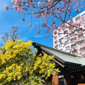 実際訪問したユーザーが直接撮影して投稿した蔵前神社蔵前神社の写真