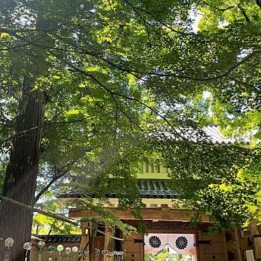 実際訪問したユーザーが直接撮影して投稿した村松寺油山寺の写真