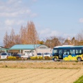 実際訪問したユーザーが直接撮影して投稿した浄谷町公園ひまわりの丘公園の写真