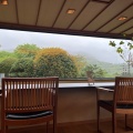 実際訪問したユーザーが直接撮影して投稿した元箱根温泉旅館和心亭 豊月の写真