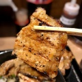 実際訪問したユーザーが直接撮影して投稿した天神橋丼もの炭火焼き豚丼専門店 豚小家  天神橋店の写真