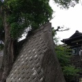 実際訪問したユーザーが直接撮影して投稿した大日寺カフェ楠カフェの写真