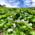 実際訪問したユーザーが直接撮影して投稿した福岡スキー場泉ヶ岳スキー場の写真