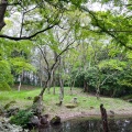 実際訪問したユーザーが直接撮影して投稿した松原町庭園旧彦根藩松原下屋敷(お浜御殿)庭園の写真