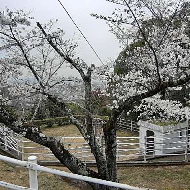 実際訪問したユーザーが直接撮影して投稿した玉島柏島公園円通寺公園の写真