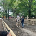 実際訪問したユーザーが直接撮影して投稿した清水アスレチック清水公園の写真