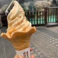群馬地鶏たまごソフト - 実際訪問したユーザーが直接撮影して投稿した草津カフェ花咲カフェの写真のメニュー情報