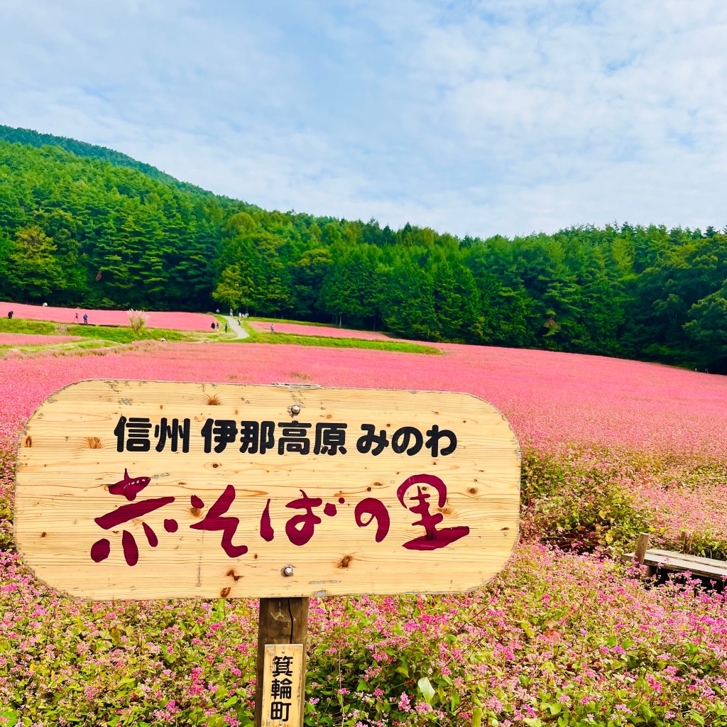 ゆーーーーーーさんが投稿した自然名所のお店信州伊那高原赤そばの里/シンシュウイナコウゲンアカソバノサトの写真