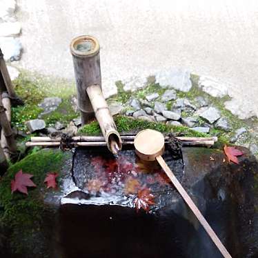 ぽんぽこ2さんが投稿した一乗寺門口町寺のお店詩仙堂 丈山寺/シセンドウ ジョウザンジの写真