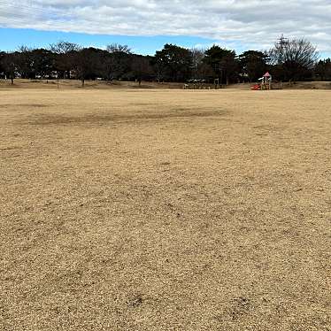 実際訪問したユーザーが直接撮影して投稿した大泉学園町公園大泉さくら運動公園の写真