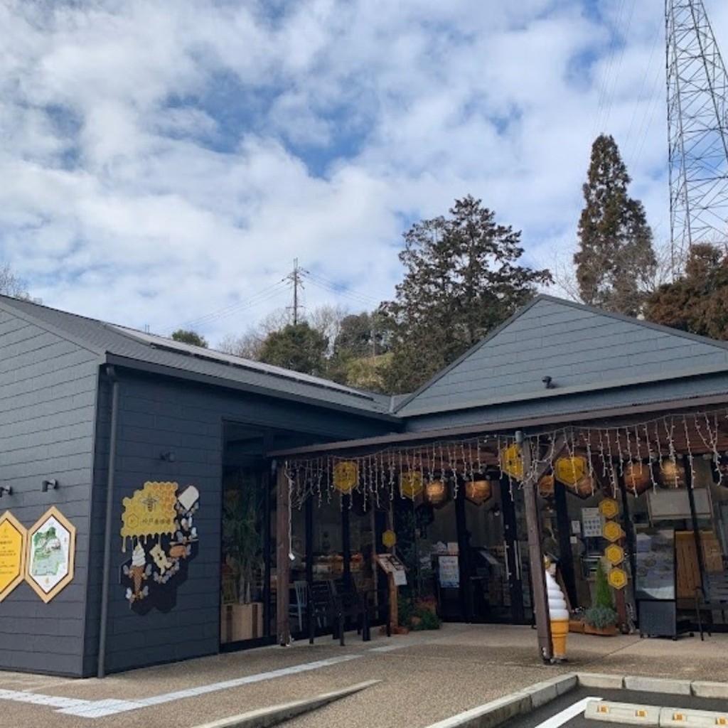 ユーザーが投稿したカマンベール風味蜂蜜がけチースの写真 - 実際訪問したユーザーが直接撮影して投稿した山田町小部カフェ神戸養蜂場の写真