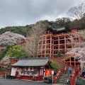 実際訪問したユーザーが直接撮影して投稿した古枝神社祐徳稲荷神社の写真