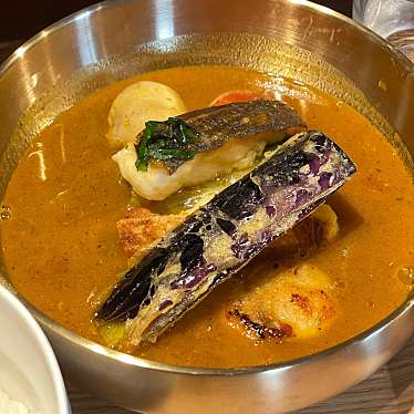 実際訪問したユーザーが直接撮影して投稿した大木スープカレー魚介スープカレー 食堂アルファの写真