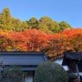 実際訪問したユーザーが直接撮影して投稿した足助町寺香積寺の写真