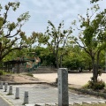 実際訪問したユーザーが直接撮影して投稿した八木公園八木梅林公園の写真