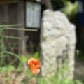 実際訪問したユーザーが直接撮影して投稿した東石川そば木挽庵の写真