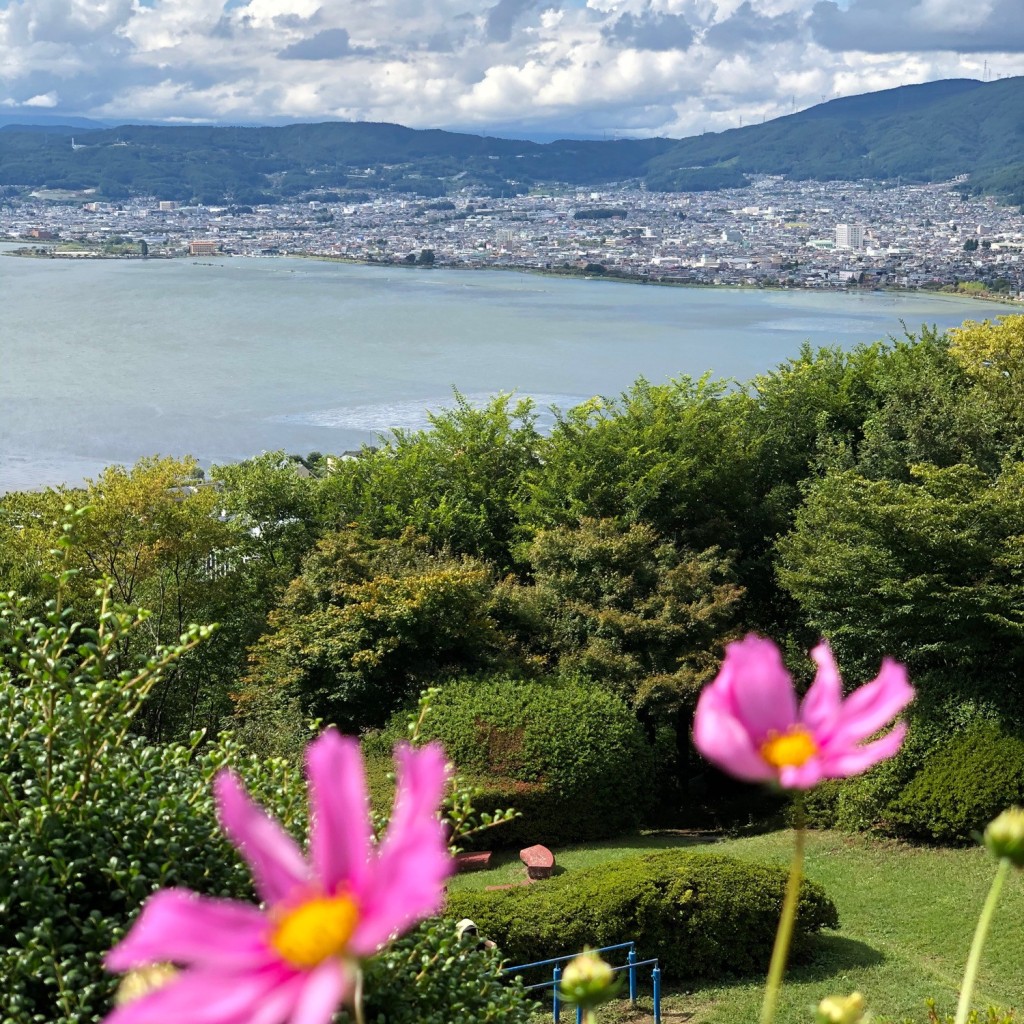 ゆーーーーーーさんが投稿した上諏訪公園のお店立石公園/タテイシコウエンの写真