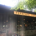 実際訪問したユーザーが直接撮影して投稿した井の頭タイ料理pepacafe FORESTの写真