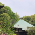 実際訪問したユーザーが直接撮影して投稿した神木本町寺等覚院の写真