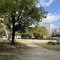 実際訪問したユーザーが直接撮影して投稿した鵜の森公園鵜の森公園の写真