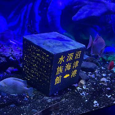 沼津港深海水族館 シーラカンス・ミュージアムのundefinedに実際訪問訪問したユーザーunknownさんが新しく投稿した新着口コミの写真