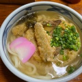 かき揚ごぼう天うどん - 実際訪問したユーザーが直接撮影して投稿した日吉町うどん元禄うどんの写真のメニュー情報