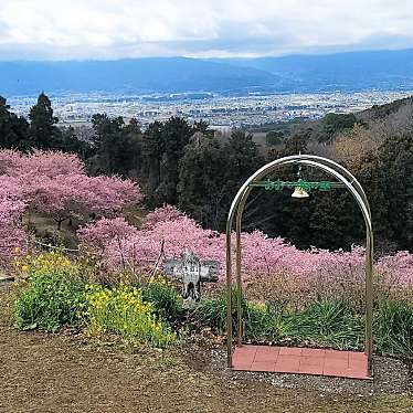 実際訪問したユーザーが直接撮影して投稿した柳自然名所おおいゆめの里の写真