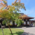 実際訪問したユーザーが直接撮影して投稿した金亀町庭園彦根城楽々園の写真