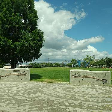 実際訪問したユーザーが直接撮影して投稿した里町公園柿田公園の写真