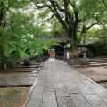 実際訪問したユーザーが直接撮影して投稿した今川神社むすびの神 鳥飼八幡宮の写真