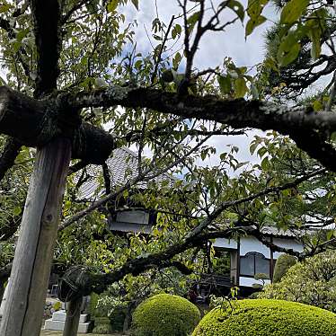 実際訪問したユーザーが直接撮影して投稿した天ヶ瀬町寺金剛寺の写真