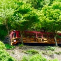 実際訪問したユーザーが直接撮影して投稿した嵯峨天龍寺車道町観光乗り物嵯峨野トロッコ列車の写真