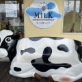 実際訪問したユーザーが直接撮影して投稿した三郷温スイーツあづみ野ミルクの写真
