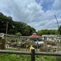 実際訪問したユーザーが直接撮影して投稿した薬師台動物園町田リス園の写真