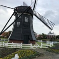 実際訪問したユーザーが直接撮影して投稿したハウステンボス町フォトスポット三連風車の写真
