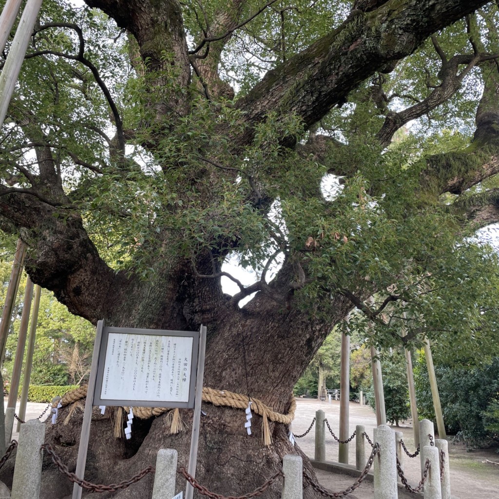 実際訪問したユーザーが直接撮影して投稿した大田町神社大宮神社の写真