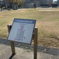 実際訪問したユーザーが直接撮影して投稿した桜口町公園六甲道南公園の写真