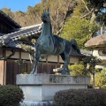実際訪問したユーザーが直接撮影して投稿した日夏町神社唐崎神社の写真