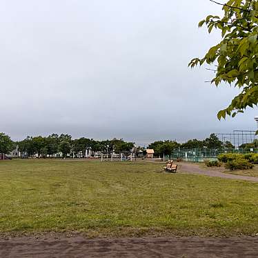 実際訪問したユーザーが直接撮影して投稿した拓勇東町公園白鳥公園の写真