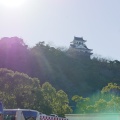 実際訪問したユーザーが直接撮影して投稿した館山公園城山公園の写真