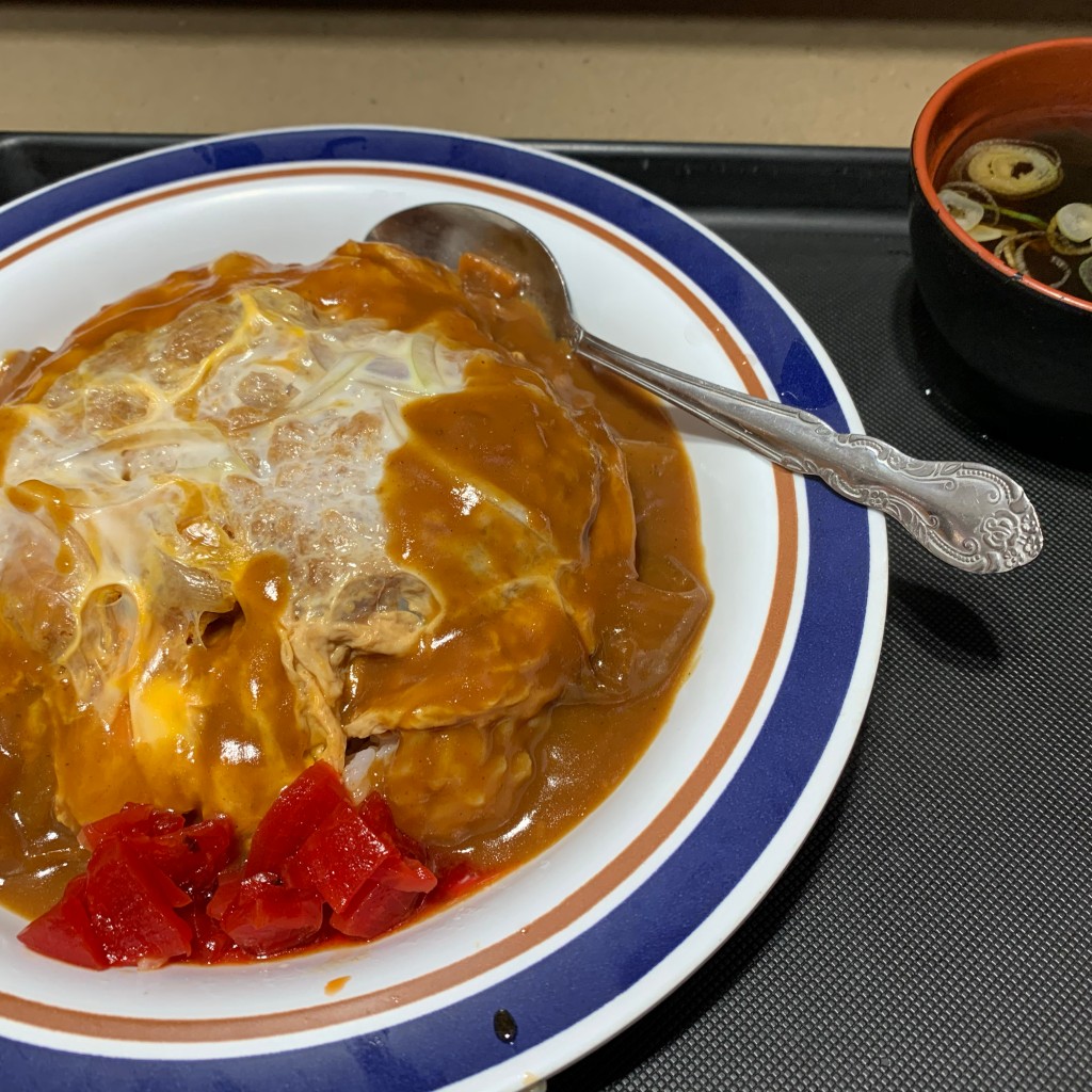 ユーザーが投稿したカツカレーの写真 - 実際訪問したユーザーが直接撮影して投稿した三軒茶屋そば名代 富士そば 三軒茶屋店の写真