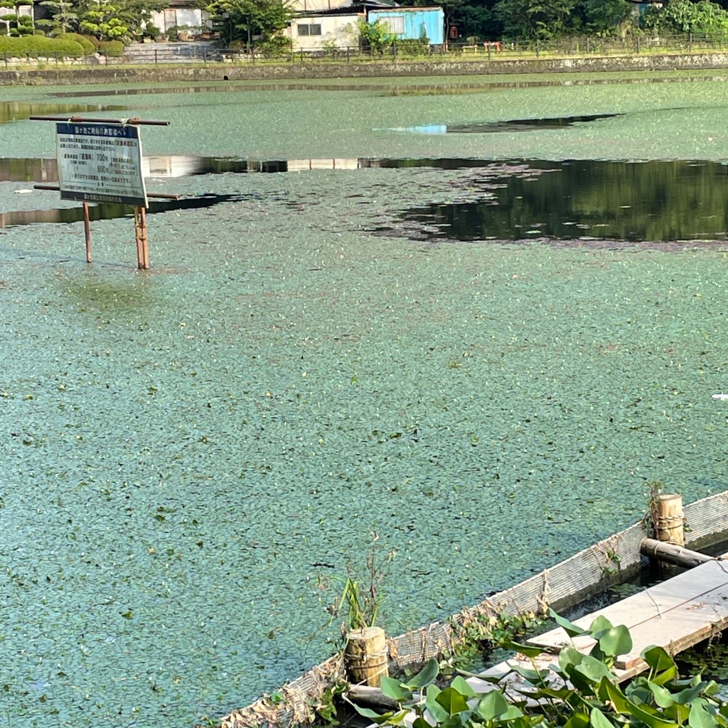 実際訪問したユーザーが直接撮影して投稿した下湖沼 / 池鯨ヶ池の写真