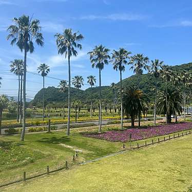 実際訪問したユーザーが直接撮影して投稿した東方公園オーストラリアの森の写真