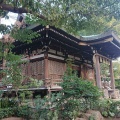 実際訪問したユーザーが直接撮影して投稿した奥沢神社奥沢神社の写真