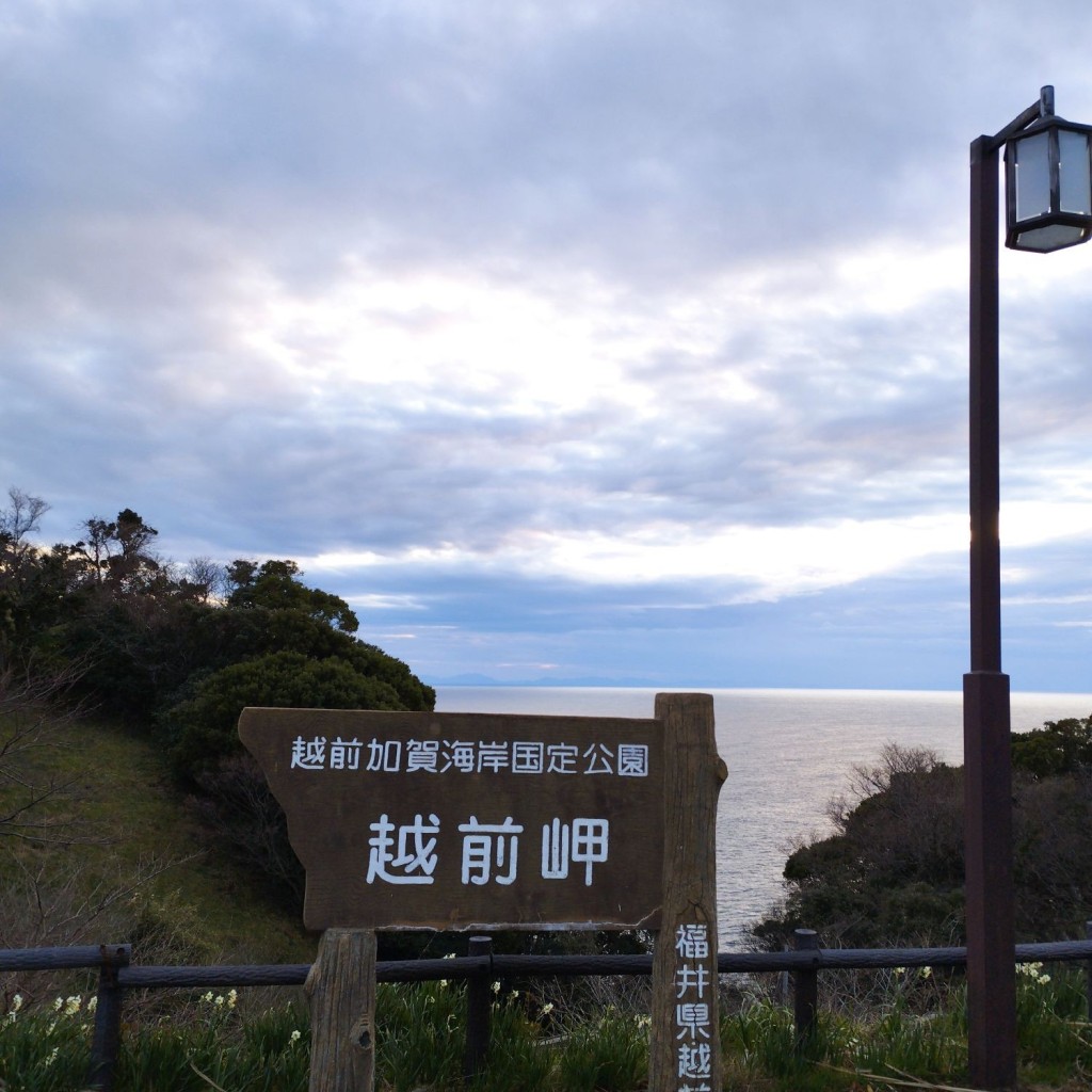 実際訪問したユーザーが直接撮影して投稿した血ヶ平公園越前岬水仙ランドの写真