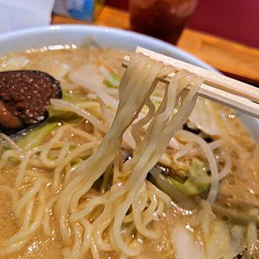 実際訪問したユーザーが直接撮影して投稿した富の中ラーメン / つけ麺村井家の写真