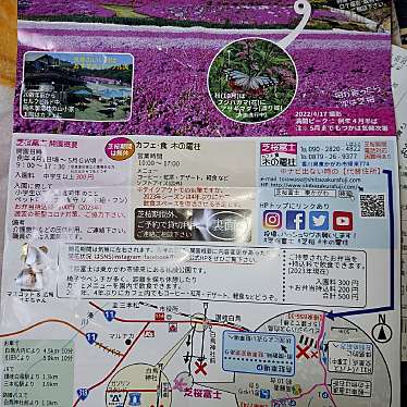 実際訪問したユーザーが直接撮影して投稿した帰来公園芝桜富士の写真